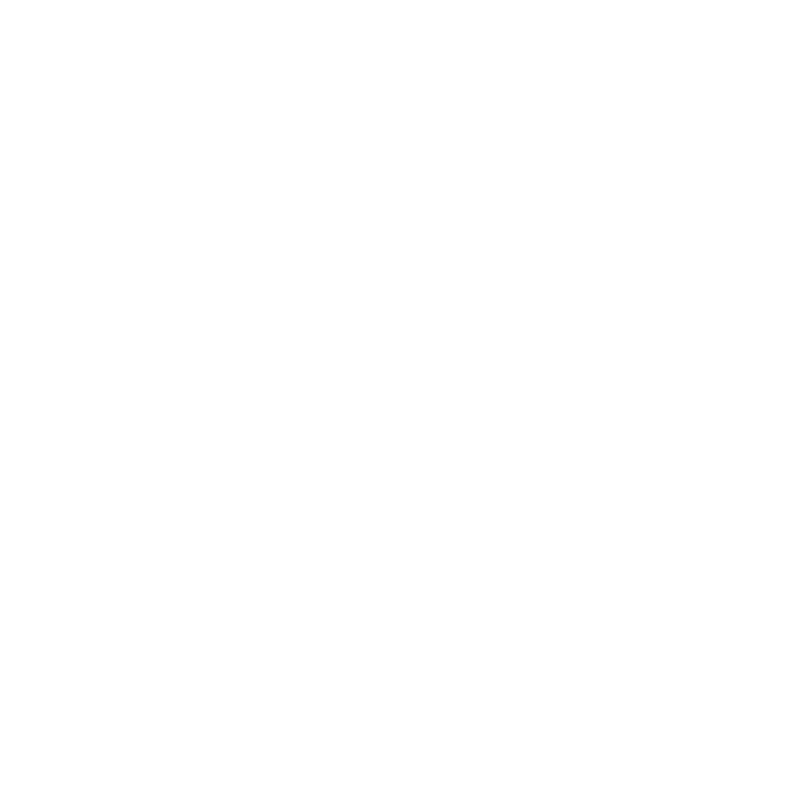 Skavnes Logo